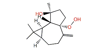 Lochmolin E